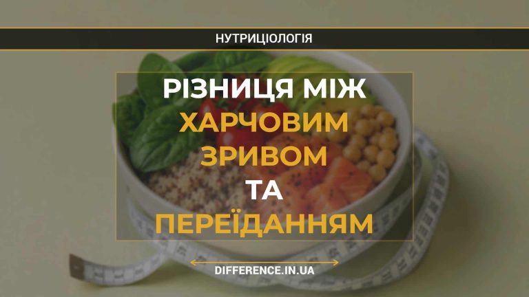 Різниця між харчовим зривом та переїданням