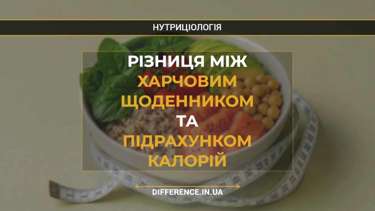 Різниця між харчовим щоденником та підрахунком калорій