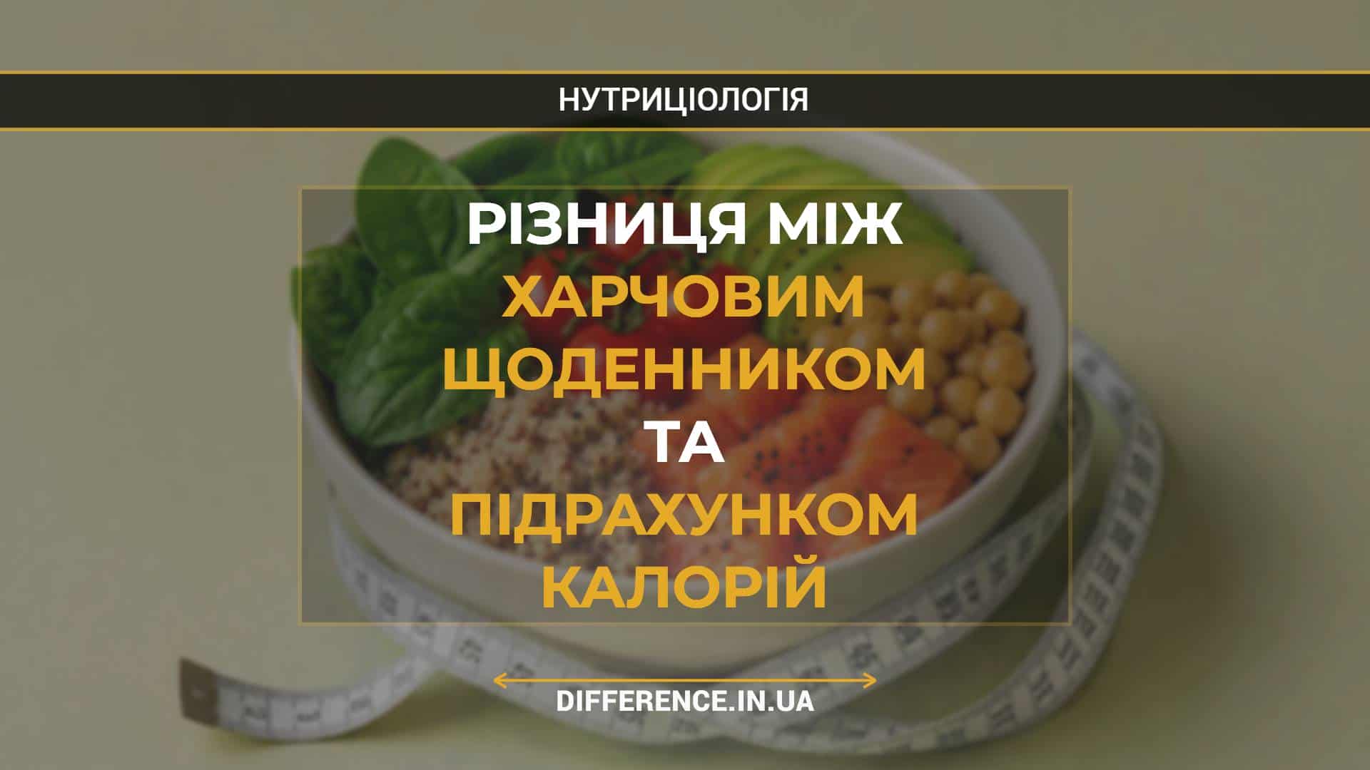Різниця між харчовим щоденником та підрахунком калорій