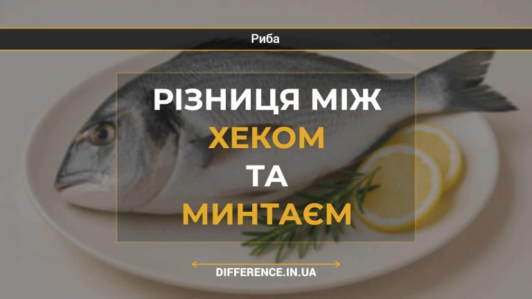 Різниця між хеком та минтаєм