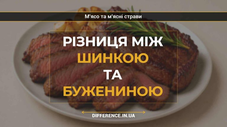 Різниця між шинкою та бужениною