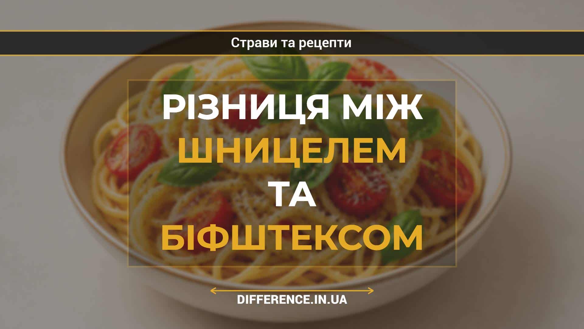Різниця між шницелем та біфштексом