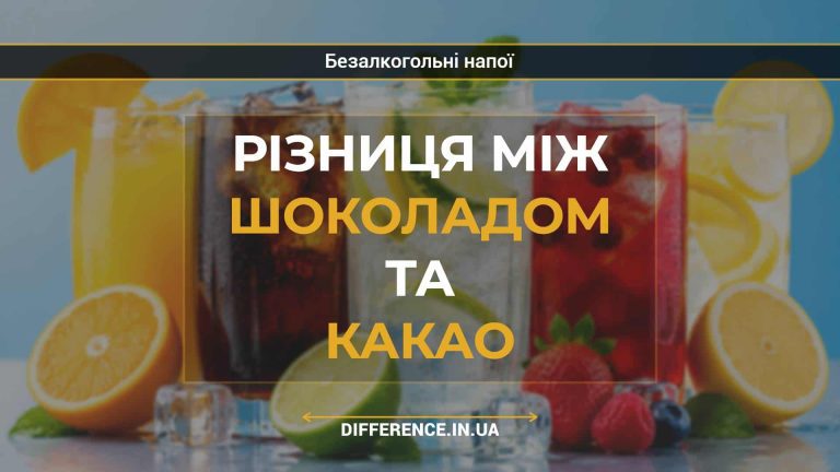 Різниця між шоколадом та какао