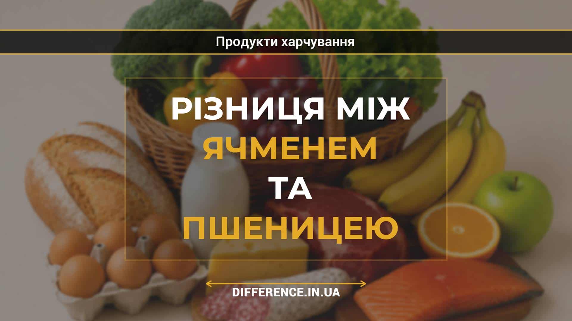 Різниця між ячменем та пшеницею