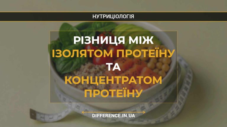 Різниця між ізолятом протеїну та концентратом протеїну