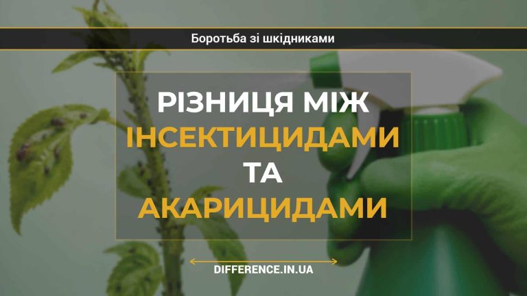 Різниця між інсектицидами та акарицидами