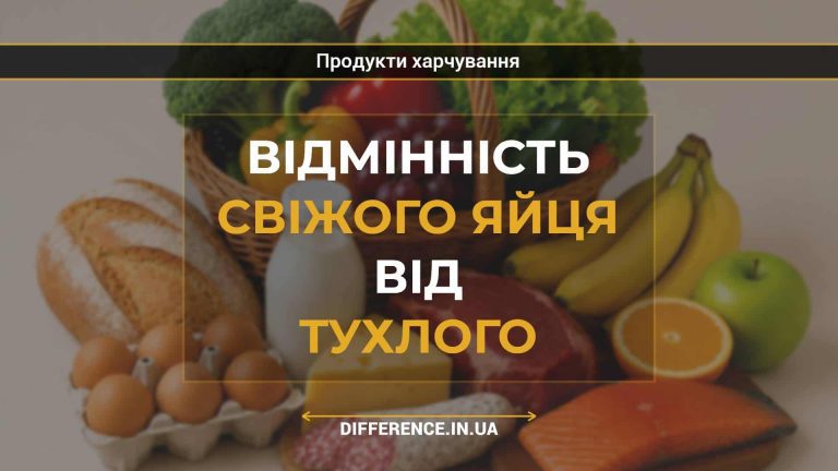 Відмінність свіжого яйця від тухлого