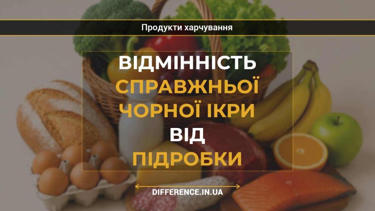 Відмінність справжньої чорної ікри від підробки