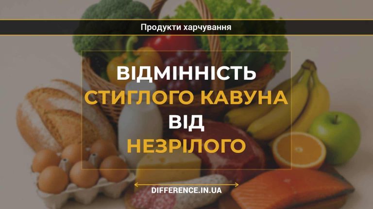 Відмінність стиглого кавуна від незрілого