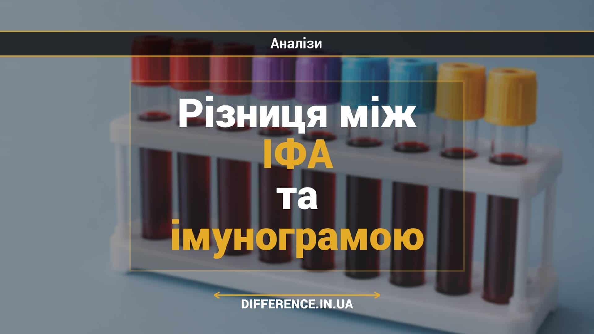 Різниця між ІФА та імунограмою