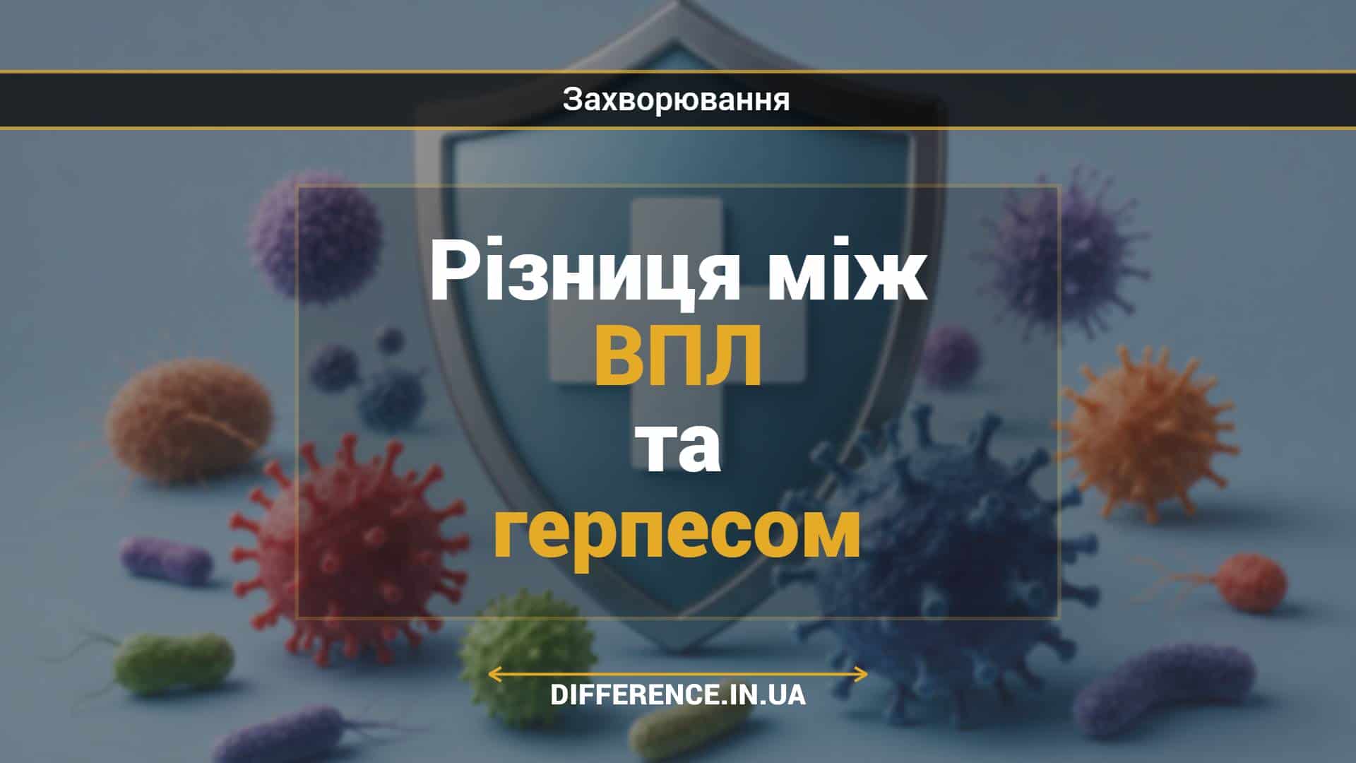 Різниця між ВПЛ та герпесом