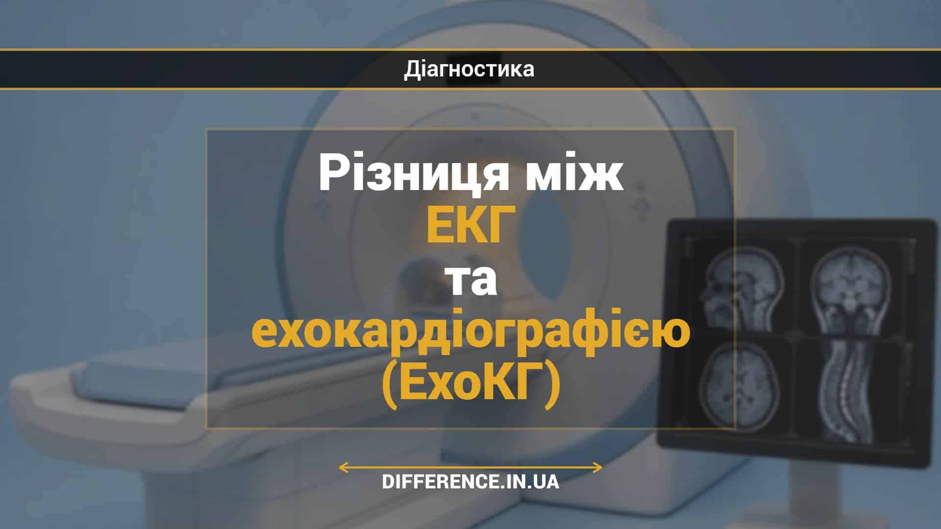 Різниця між ЕКГ та ехокардіографією (ЕхоКГ)