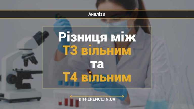 Різниця між Т3 вільним та Т4 вільним