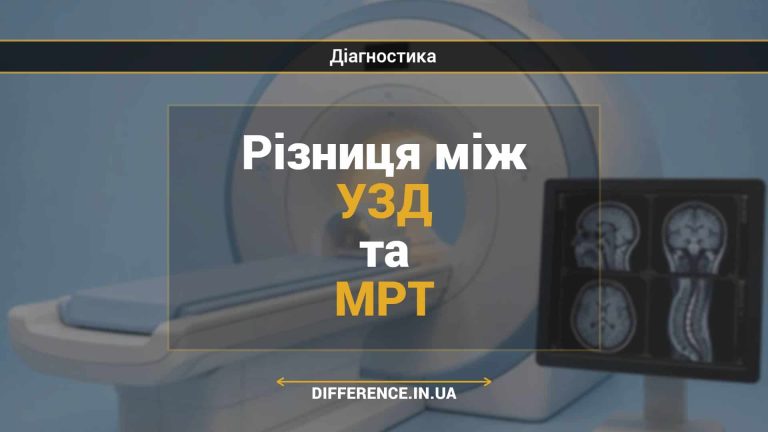 Різниця між УЗД та МРТ