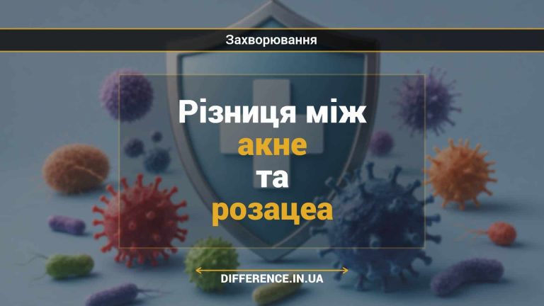 Різниця між акне та розацеа
