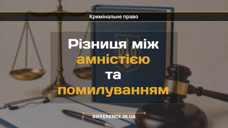 Різниця між амністією та помилуванням (1)