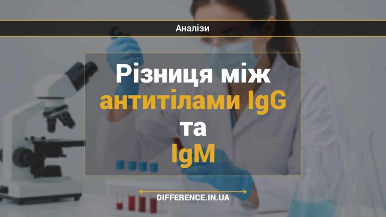 Різниця між антитілами IgG та IgM