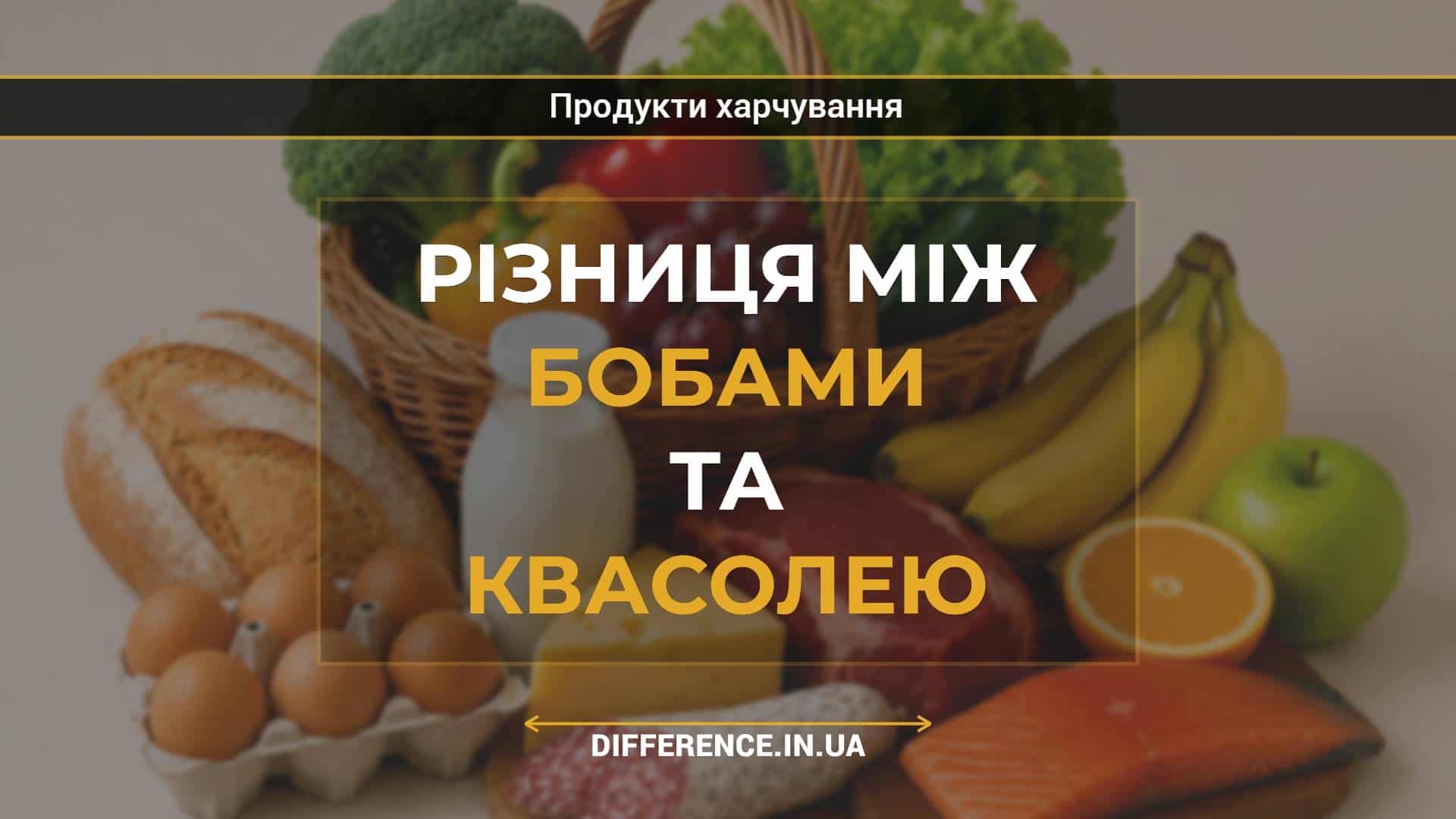 Різниця між бобами та квасолею