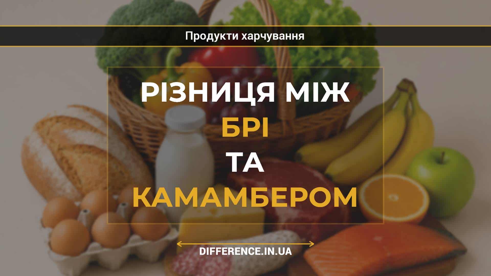 Різниця між брі та камамбером