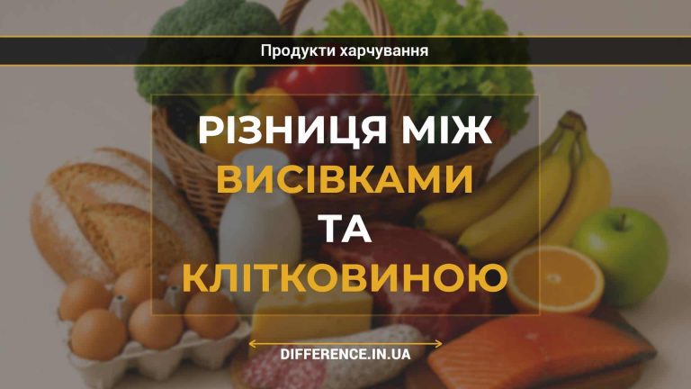 Різниця між висівками та клітковиною