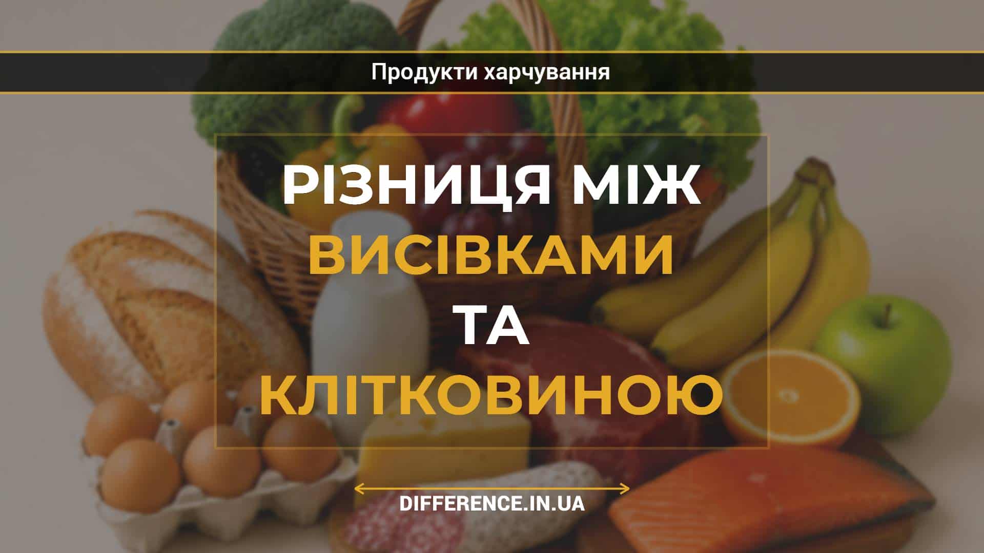Різниця між висівками та клітковиною