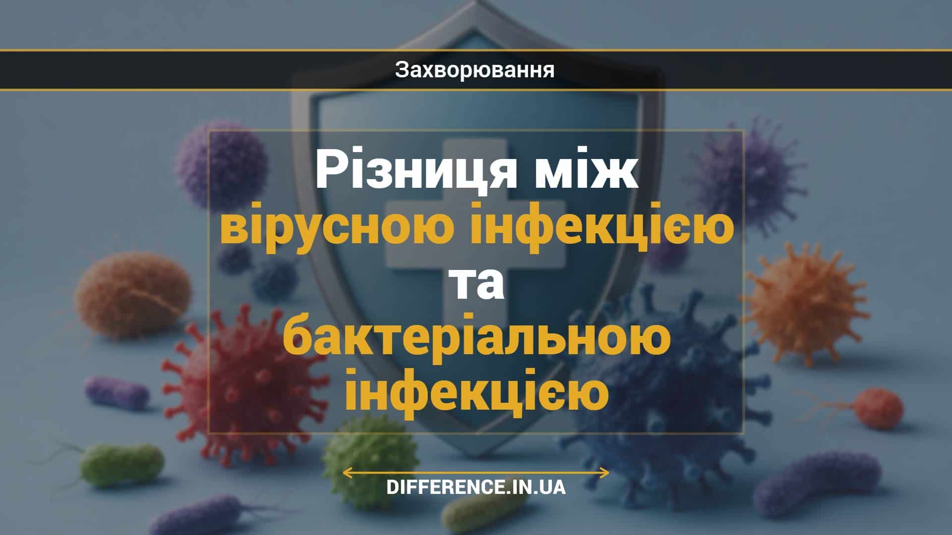 Різниця між вірусною інфекцією та бактеріальною інфекцією