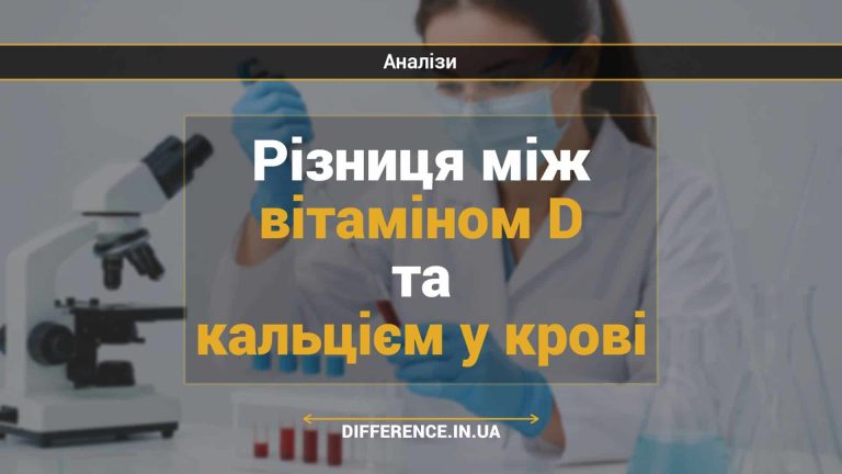 Різниця між вітаміном D та кальцієм у крові