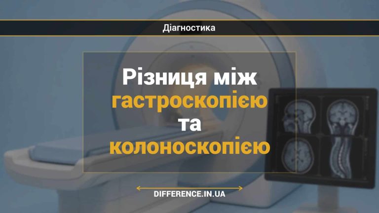 Різниця між гастроскопією та колоноскопією