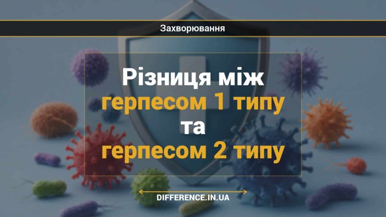 Різниця між герпесом 1 типу та герпесом 2 типу