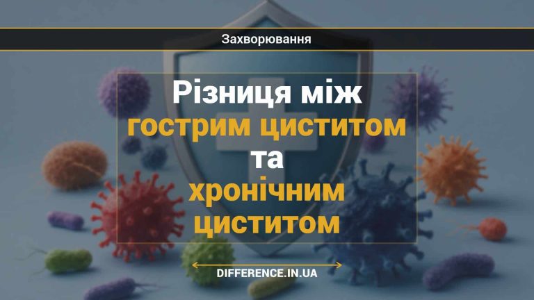 Різниця між гострим циститом та хронічним циститом