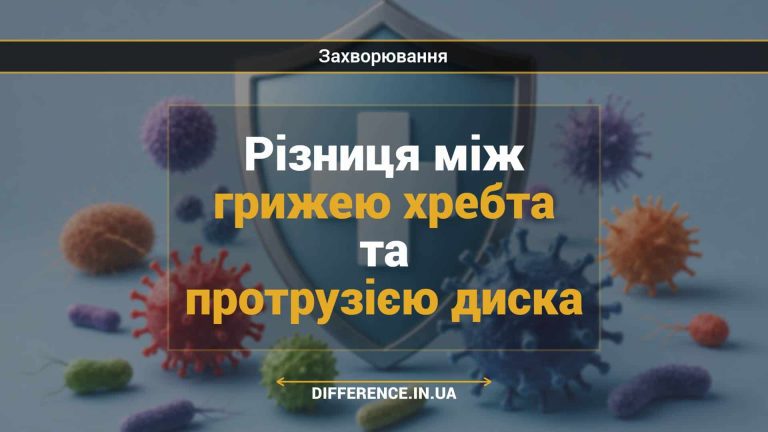 Різниця між грижею хребта та протрузією диска
