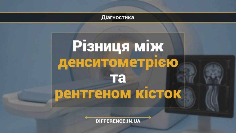 Різниця між денситометрією та рентгеном кісток