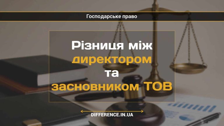 Різниця між директором та засновником ТОВ