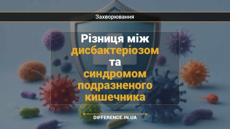 Різниця між дисбактеріозом та синдромом подразненого кишечника