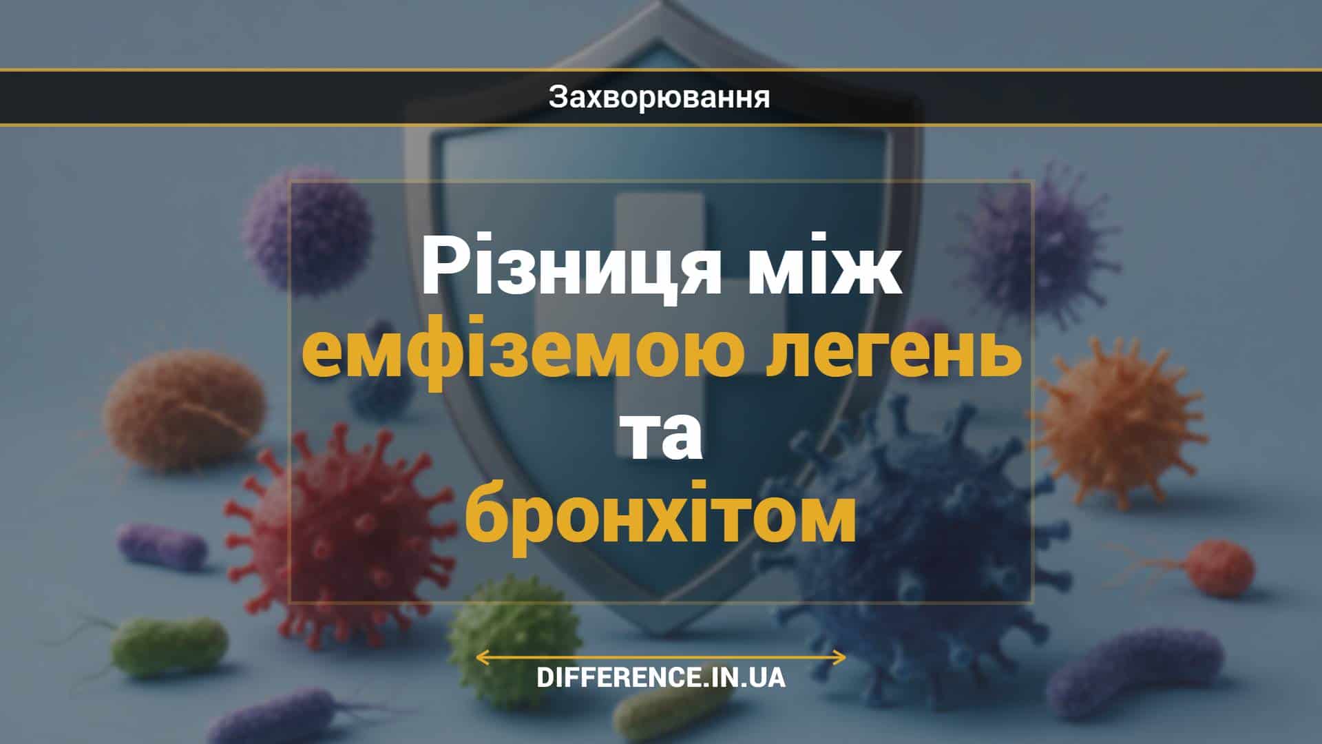Різниця між емфіземою легень та бронхітом