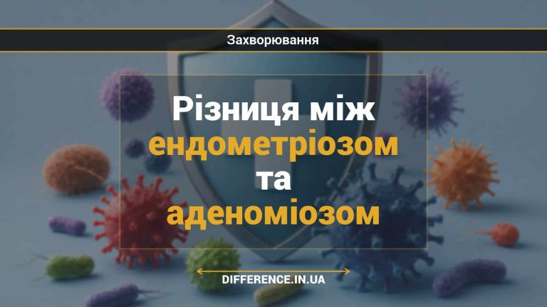 Різниця між ендометріозом та аденоміозом