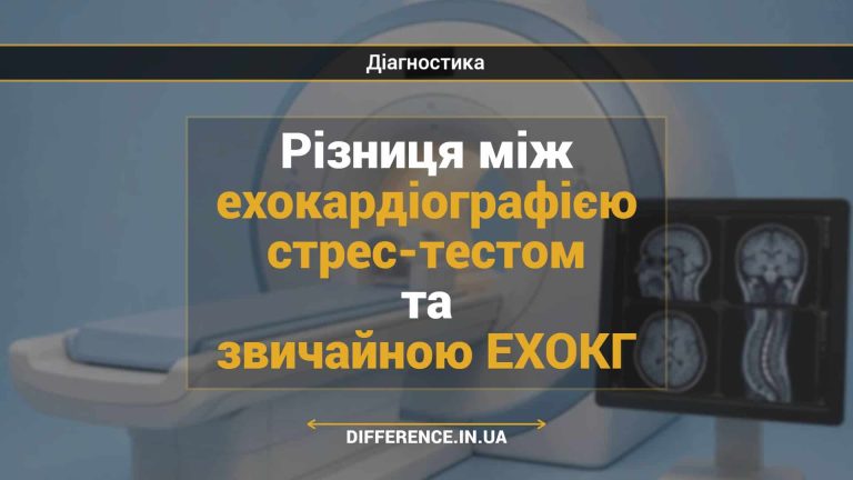 Різниця між ехокардіографією стрес-тестом та звичайною ЕХОКГ