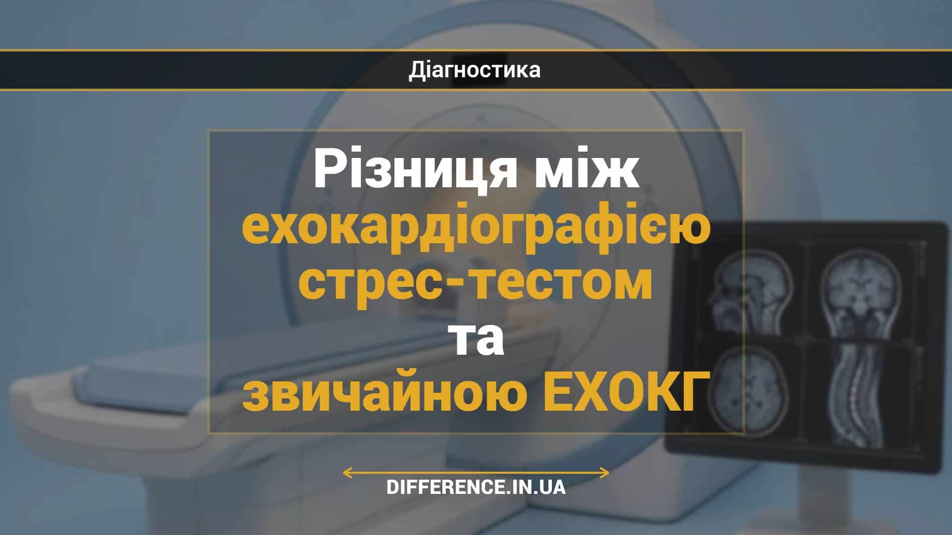 Різниця між ехокардіографією стрес-тестом та звичайною ЕХОКГ
