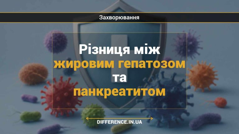 Різниця між жировим гепатозом та панкреатитом