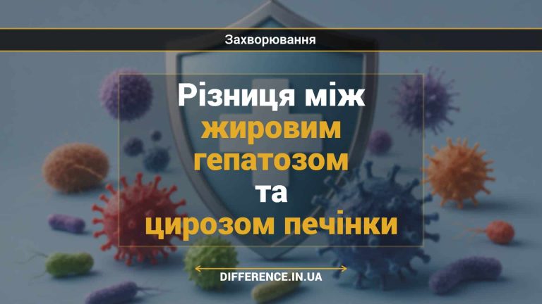 Різниця між жировим гепатозом та цирозом печінки
