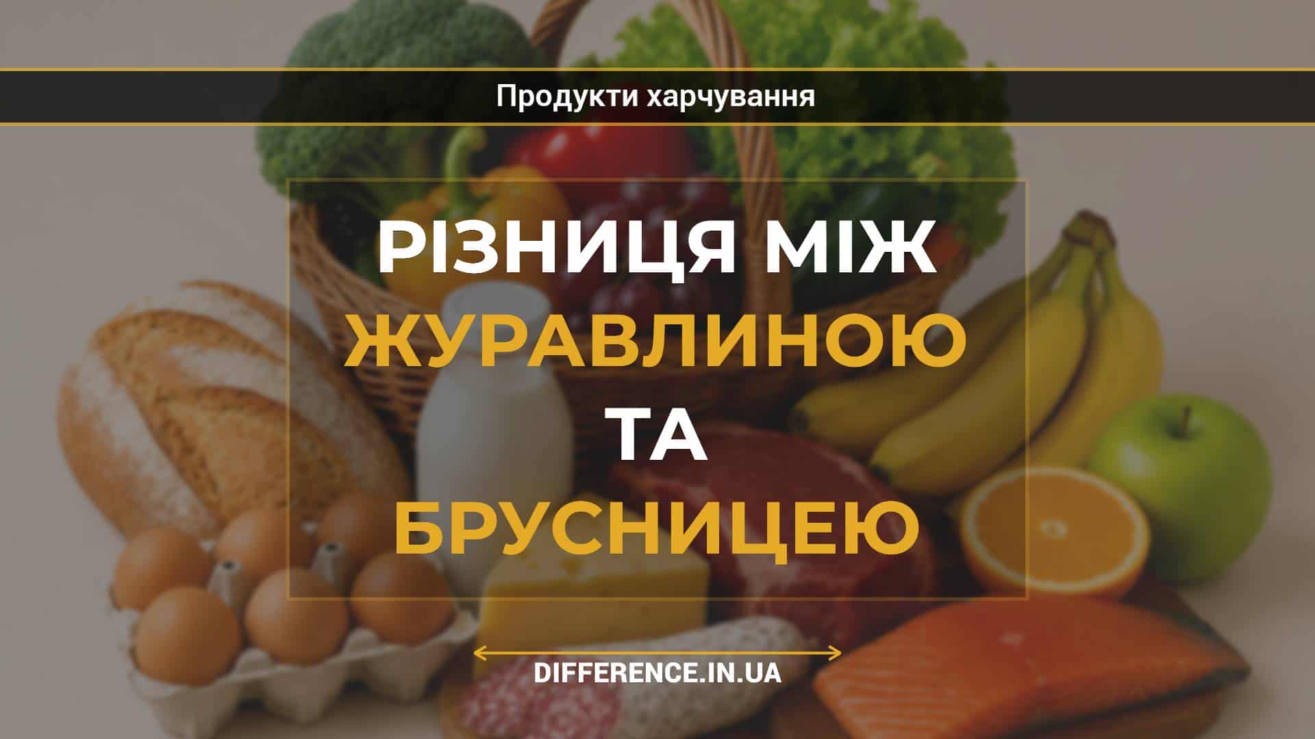 Різниця між журавлиною та брусницею