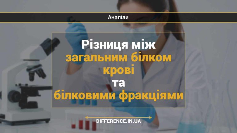 Різниця між загальним білком крові та білковими фракціями