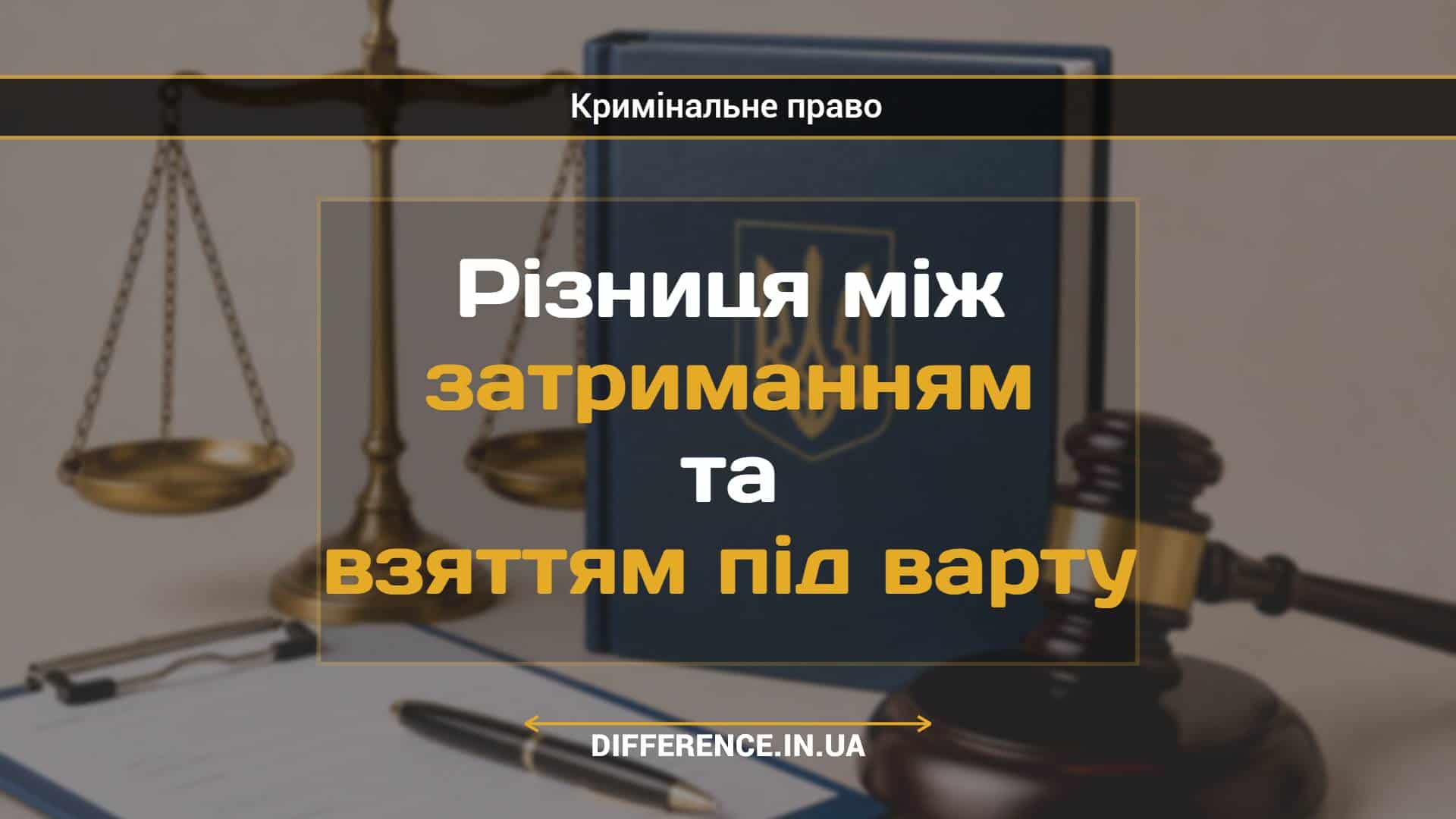 Різниця між затриманням та взяттям під варту