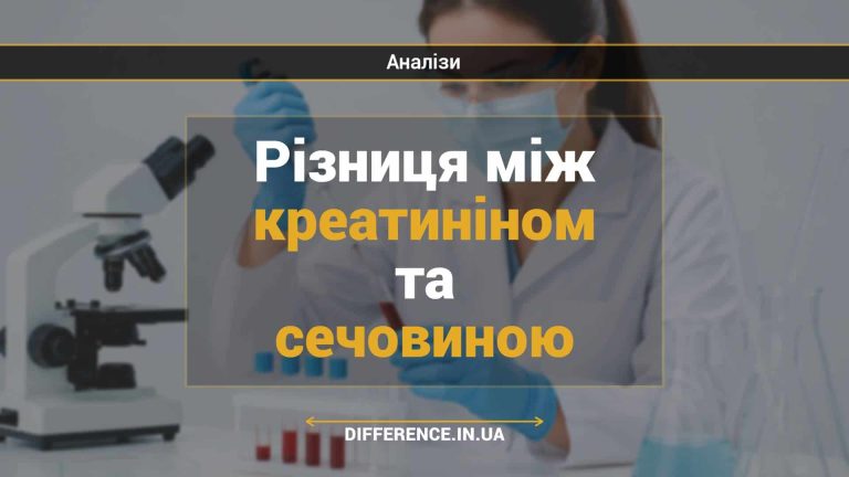 Різниця між креатиніном та сечовиною