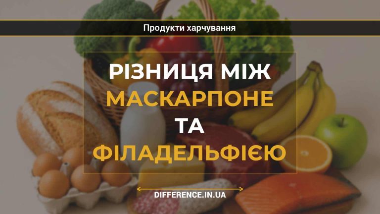 Різниця між маскарпоне та філадельфією