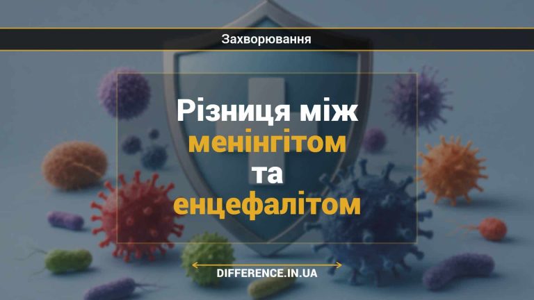 Різниця між менінгітом та енцефалітом