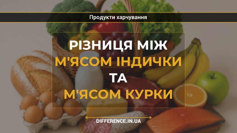Різниця між м'ясом індички та м'ясом курки