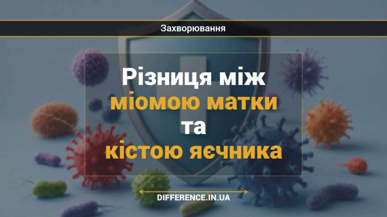 Різниця між міомою матки та кістою яєчника
