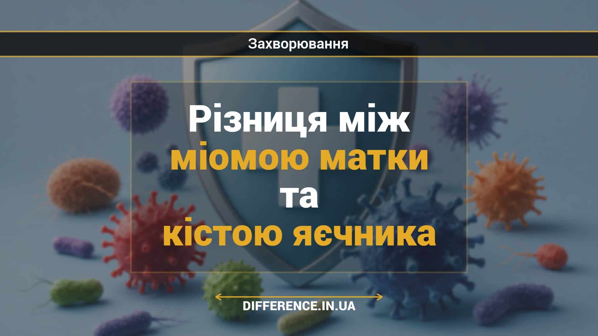 Різниця між міомою матки та кістою яєчника