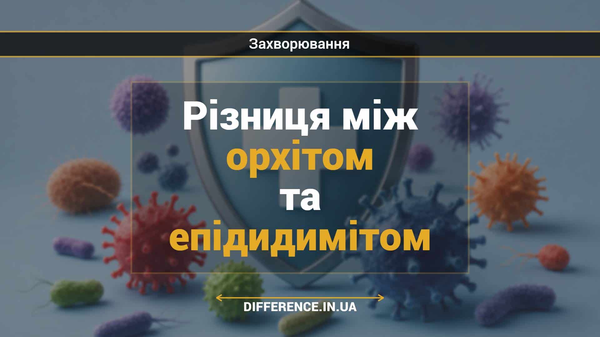 Різниця між орхітом та епідидимітом